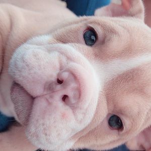 Meet your Posher, Erika